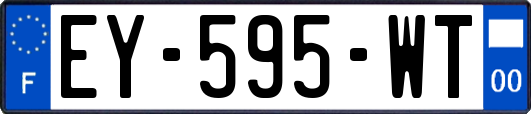 EY-595-WT