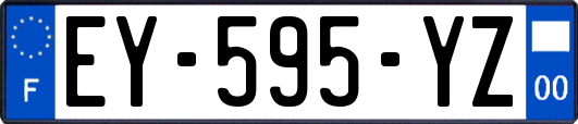 EY-595-YZ