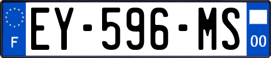 EY-596-MS