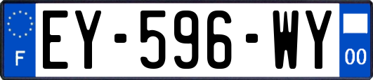 EY-596-WY