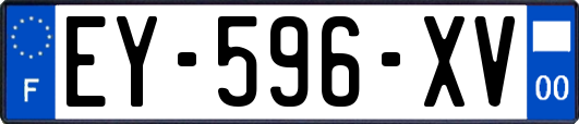 EY-596-XV