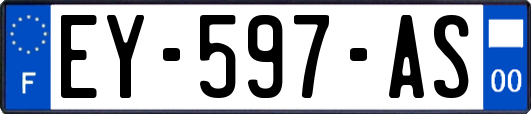 EY-597-AS