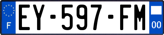 EY-597-FM