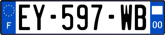 EY-597-WB