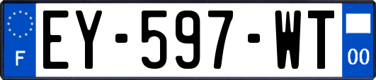 EY-597-WT