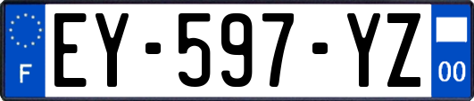 EY-597-YZ