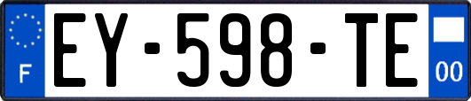 EY-598-TE