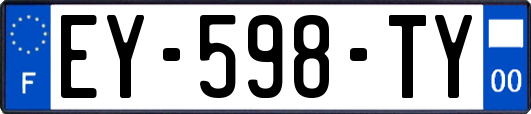 EY-598-TY