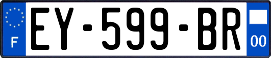 EY-599-BR