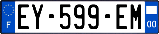 EY-599-EM