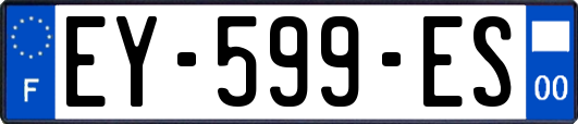 EY-599-ES
