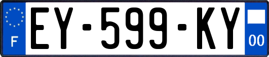 EY-599-KY