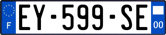 EY-599-SE