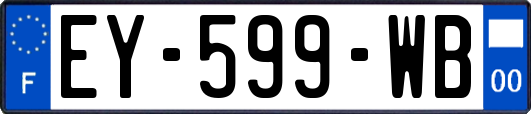 EY-599-WB