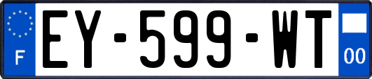 EY-599-WT