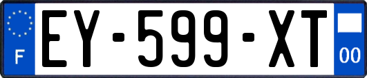 EY-599-XT