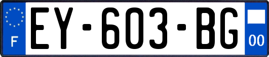 EY-603-BG