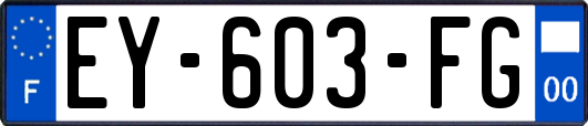 EY-603-FG