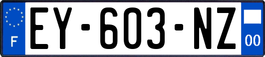 EY-603-NZ