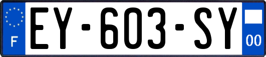 EY-603-SY