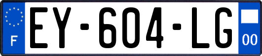 EY-604-LG