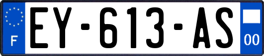 EY-613-AS