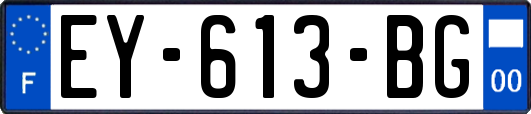 EY-613-BG