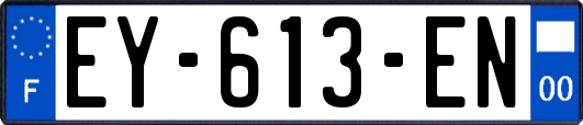 EY-613-EN