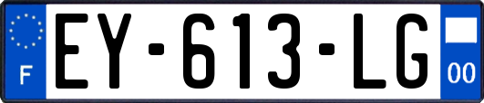 EY-613-LG
