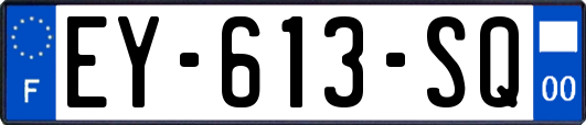 EY-613-SQ