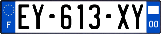 EY-613-XY
