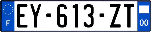 EY-613-ZT