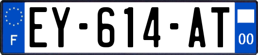 EY-614-AT