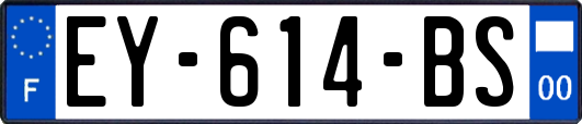 EY-614-BS