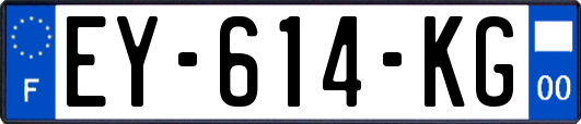 EY-614-KG