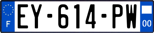 EY-614-PW