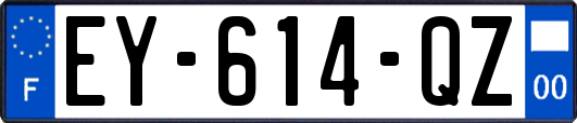 EY-614-QZ