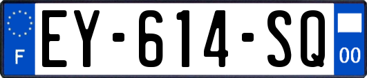EY-614-SQ