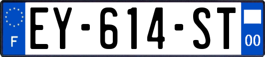 EY-614-ST