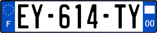 EY-614-TY