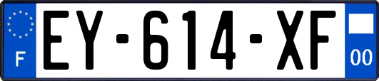 EY-614-XF