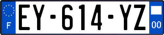 EY-614-YZ