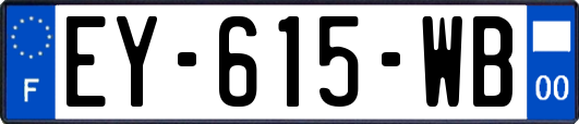 EY-615-WB