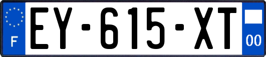EY-615-XT
