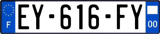 EY-616-FY