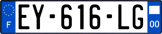 EY-616-LG