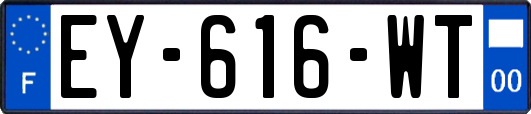 EY-616-WT