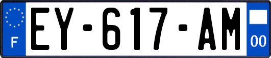 EY-617-AM