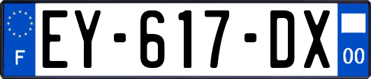 EY-617-DX