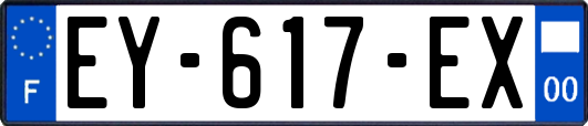 EY-617-EX